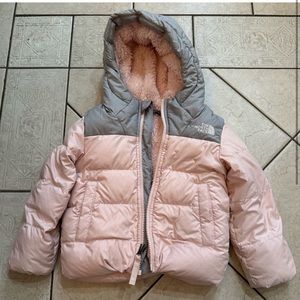 *The Northface 550 brand/style